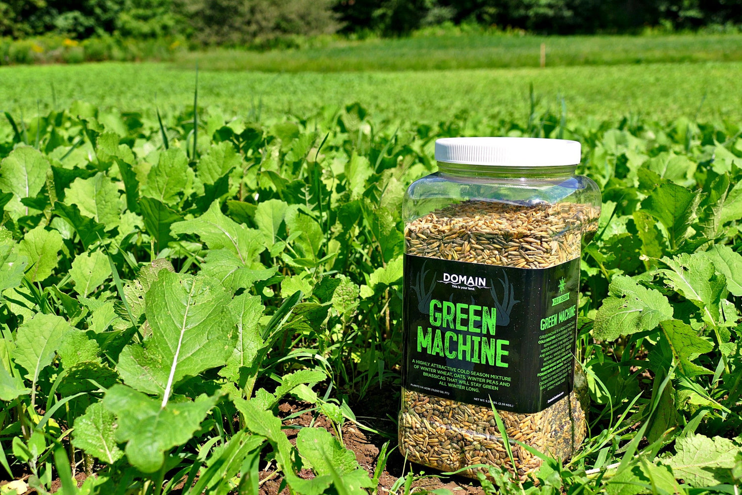 Food Plot / Seeds / Fertilizer