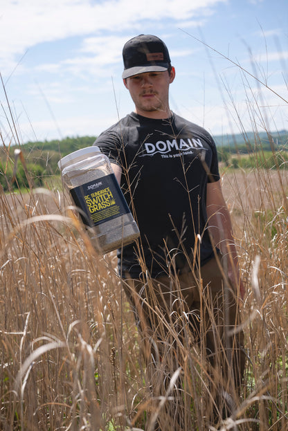 RC Sundance Switchgrass Habitat Seed