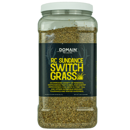 RC Sundance Switchgrass Habitat Seed